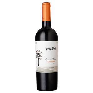 Vinho Terranoble Carmènere Reserva Terroir 750 ml