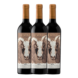 Vinho Degustação Vertical | 3 GF Calcu Futa Cabernet Sauvignon 750 ml
